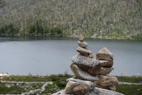 Explorez les vertus du thé blanc pour une peau radieuse et en pleine vitalité